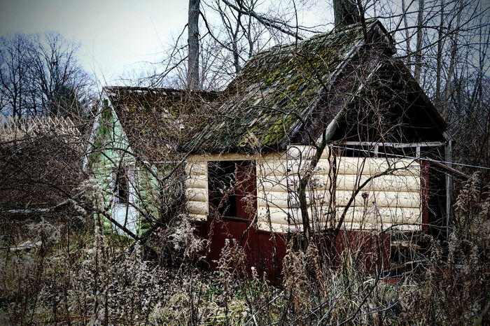 Deer Forest - January 2024 Photo From Dan Keeley (newer photo)